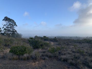 Venta Parcela Agrado Algarrobo Norte, Jz - R Del Rio Propied