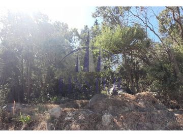 Finster Vende Parcela De 5000 M² En Condominio Altos De Olmu