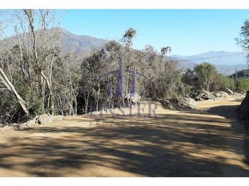 Finster Vende Parcela De 5000 M² En Condominio Altos De Olmu