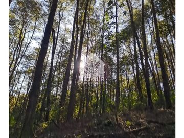 Parcela Valdivia Con Casa (crédito Hipotecario) - Rio Sur Co