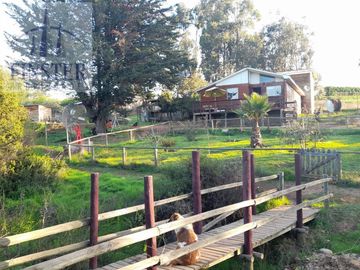 Finster Vende Hermosa Parcela De 25.000 M2 Valle Alegre, Qui