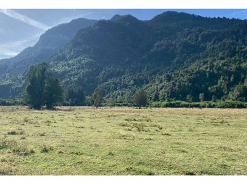 Parcelas 0,5ha Riñinahue Urbanizadas, Árboles, Rio, Vistas Y