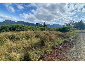 Parcelas 0,5ha Riñinahue Urbanizadas, Árboles, Rio, Vistas Y