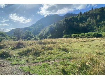 Parcelas 0,5ha Riñinahue Urbanizadas, Árboles, Rio, Vistas Y
