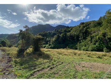 Parcelas 0,5ha Riñinahue Urbanizadas, Árboles, Rio, Vistas Y