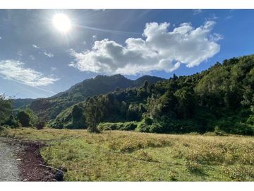 Parcelas 0,5ha Riñinahue Urbanizadas, Árboles, Rio, Vistas Y