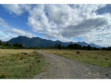 Parcelas 0,5ha Riñinahue Urbanizadas, Árboles, Rio, Vistas Y