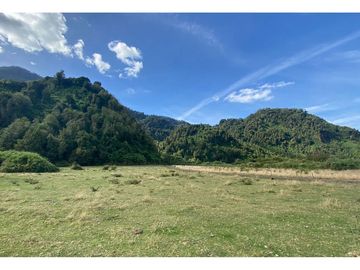 Parcelas 0,5ha Riñinahue Urbanizadas, Árboles, Rio, Vistas Y