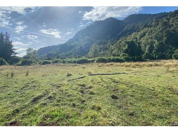 Parcelas 0,5ha Riñinahue Urbanizadas, Árboles, Rio, Vistas Y