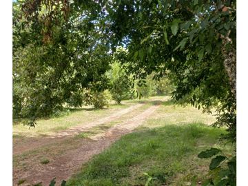 Mh&hauslink Vende;   Dos Parcelas Una Con Casa Se Vende