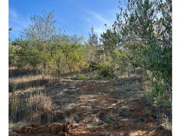 Vende En Fundo La Quirigua Parcela 5000m2 A 3min De Lago Tor