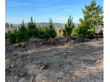 Vende En Fundo La Quirigua Parcela 5000m2 A 3min De Lago Tor