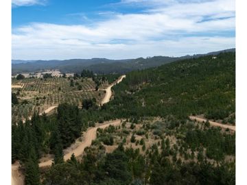 Vende En Fundo La Quirigua Parcela 5000m2 A 3min De Lago Tor