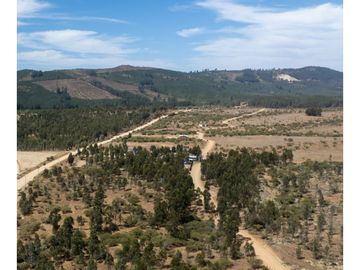 Vende En Fundo La Quirigua Parcela 5000m2 A 3min De Lago Tor