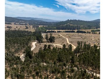 Vende En Fundo La Quirigua Parcela 5000m2 A 3min De Lago Tor