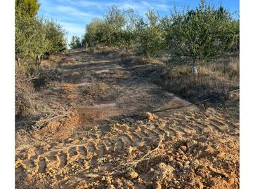 Vende En Fundo La Quirigua Parcela 5000m2 A 3min De Lago Tor