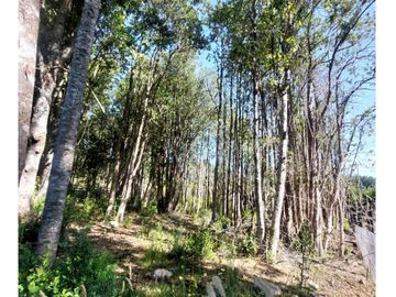 Hauslink Vende Hermosa Parcela Con Laguna Santuario Villarri