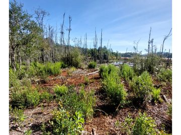 Hauslink Vende Hermosa Parcela Con Laguna Santuario Villarri