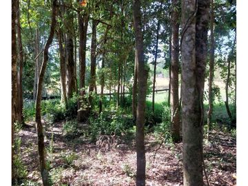 Hauslink Vende Hermosa Parcela Con Laguna Santuario Villarri