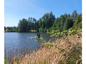 Hauslink Vende Hermosa Parcela Con Laguna Santuario Villarri