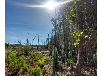 Hauslink Vende Hermosa Parcela Con Laguna Santuario Villarri