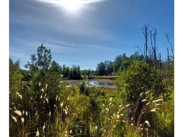 Hauslink Vende Hermosa Parcela Con Laguna Santuario Villarri