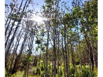 Hauslink Vende Hermosa Parcela Con Laguna Santuario Villarri