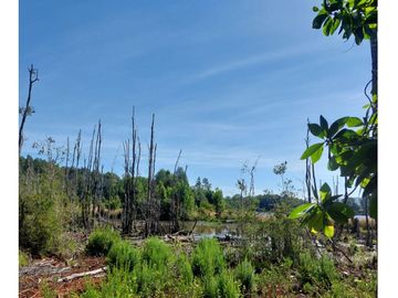 Hauslink Vende Hermosa Parcela Con Laguna Santuario Villarri