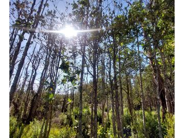 Hauslink Vende Hermosa Parcela Con Laguna Santuario Villarri