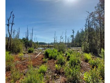 Hauslink Vende Hermosa Parcela Con Laguna Santuario Villarri