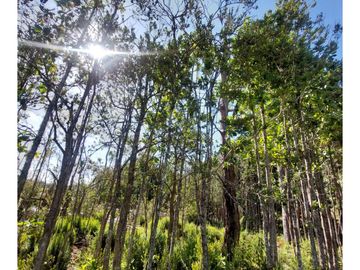 Hauslink Vende Hermosa Parcela Con Laguna Santuario Villarri