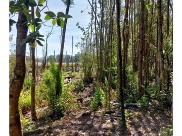 Hauslink Vende Hermosa Parcela Con Laguna Santuario Villarri