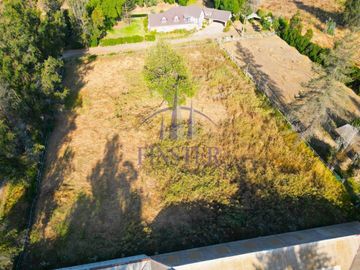Finster Vende Exclusivas Parcelas En Condominio De Alto Está