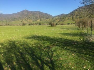 Hermosa parcela Tantegue, Melipilla