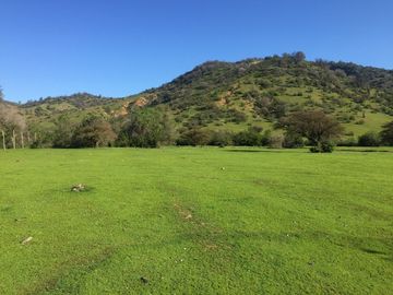 Hermosa parcela Tantegue, Melipilla