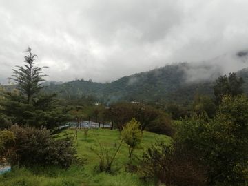 Parcela  Los Almendros de Culipran