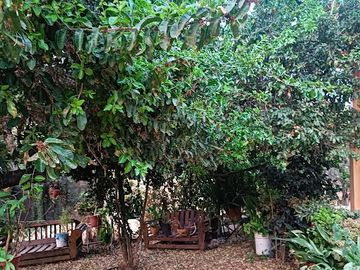 Parcela  Los Almendros de Culipran