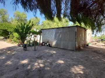 VENTA FINCA EN PRODUCCION  12 Has  EL ALGARROBAL
