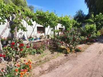 VENTA FINCA EN PRODUCCION  12 Has  EL ALGARROBAL