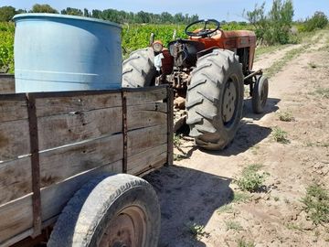 VENTA FINCA EN PRODUCCION  12 Has  EL ALGARROBAL