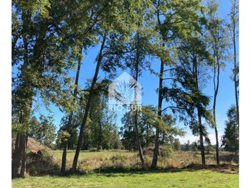Parcela 0,5ha Rio Bueno, Sector Crucero - Rio Sur Corretajes