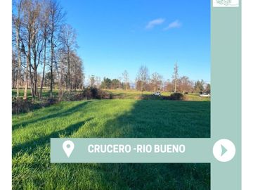 Parcela 0,5ha Rio Bueno, Sector Crucero - Rio Sur Corretajes