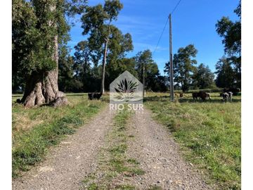 Parcela 0,5ha Rio Bueno, Sector Crucero - Rio Sur Corretajes
