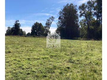 Parcela 0,5ha Rio Bueno, Sector Crucero - Rio Sur Corretajes