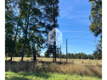 Parcela 0,5ha Rio Bueno, Sector Crucero - Rio Sur Corretajes
