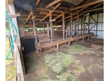 Parela 3,77ha. Con Casa, Bodega, Piscina, Quincho (en Oferta