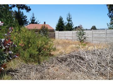Venta Terreno De 752 M2 A Pasos De Centro Algarrobo - Alta P