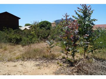 Venta Terreno De 752 M2 A Pasos De Centro Algarrobo - Alta P