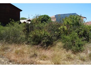 Venta Terreno De 752 M2 A Pasos De Centro Algarrobo - Alta P