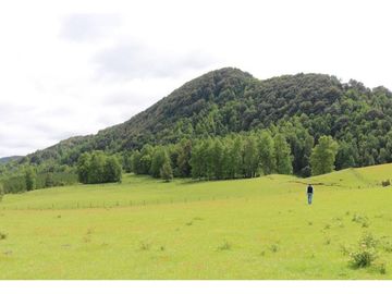 Campo Sector Relún Camino A Los Copihues 44ha